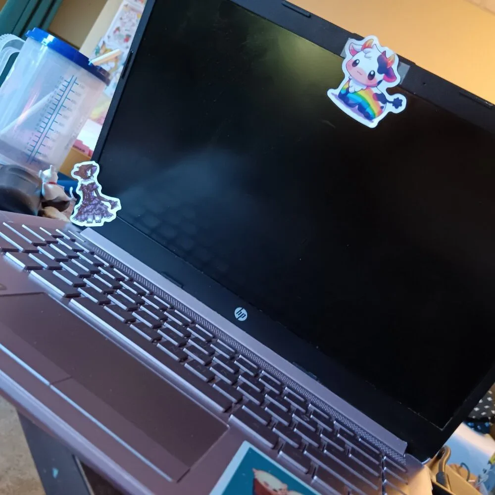 Hp pink laptop